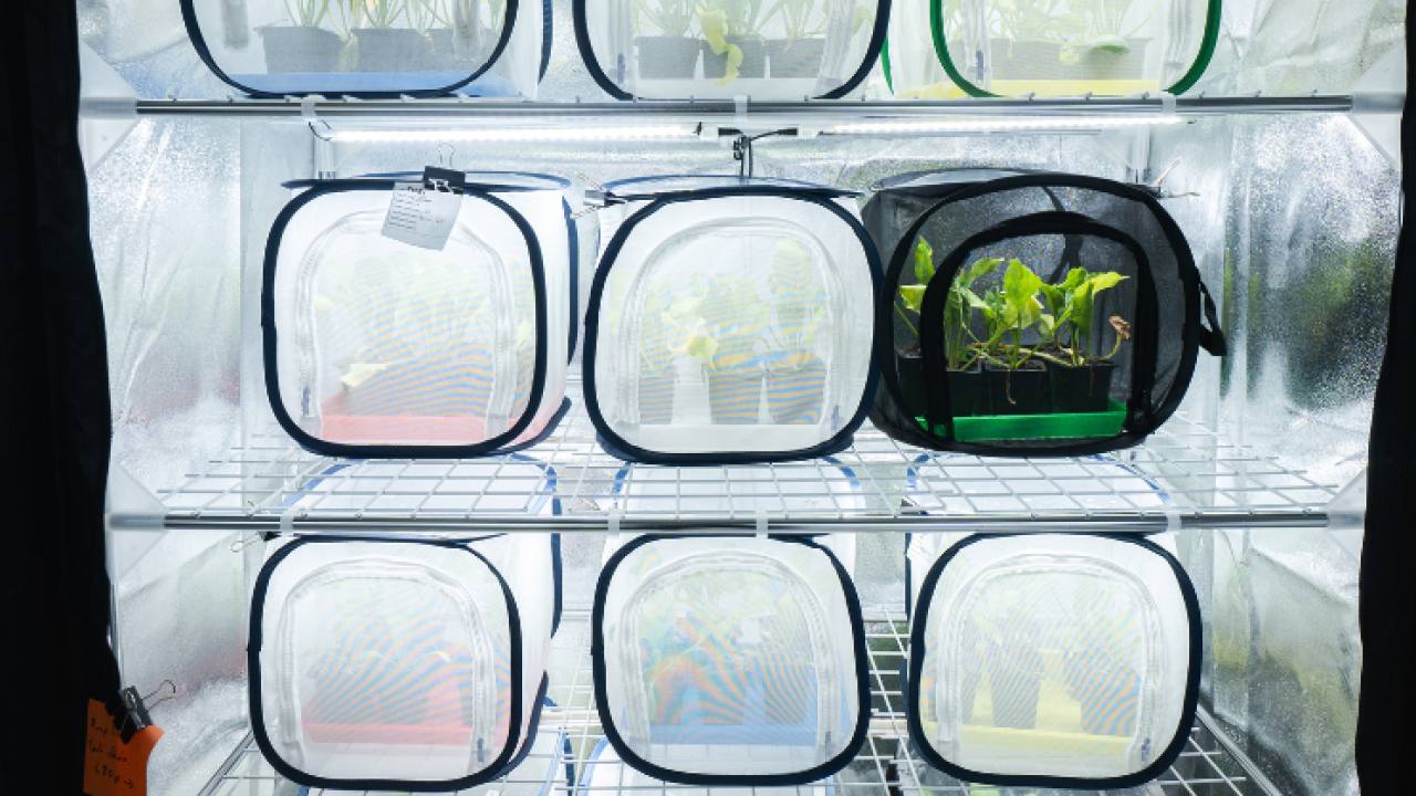 Agriodor, Sürdürülebilir Pestisitler İçin 15 Milyon Euro Yatırım Aldı