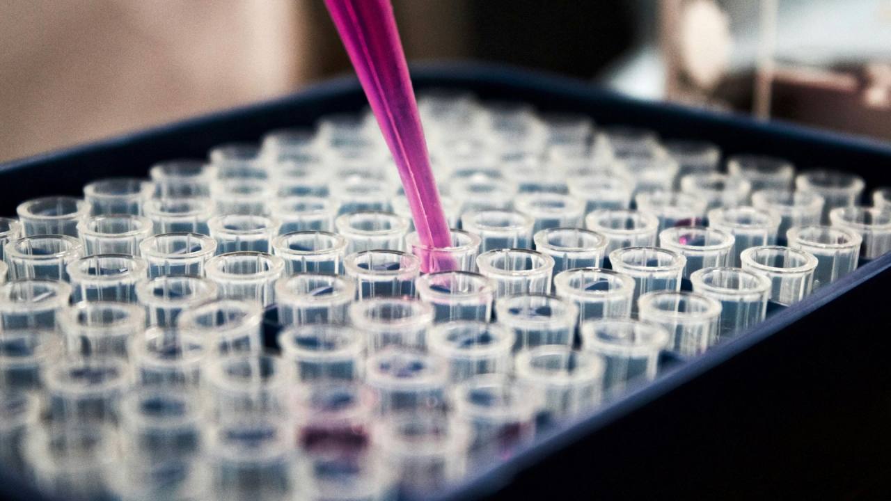 Alchemab Therapeutics Seri A Yatırım Turunu Genişletti