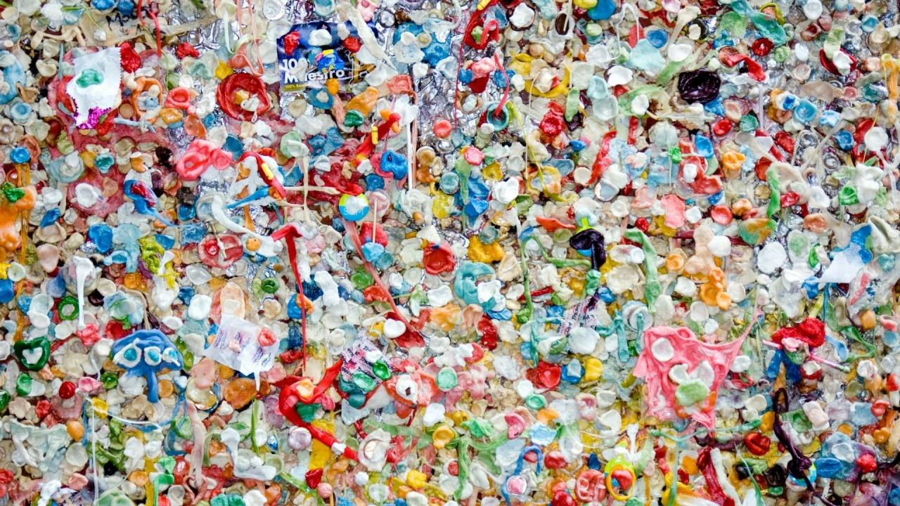 Dorset Merkezli Circular11, Plastik Atıkları Yenilikçi Ürünlere Dönüştürüyor