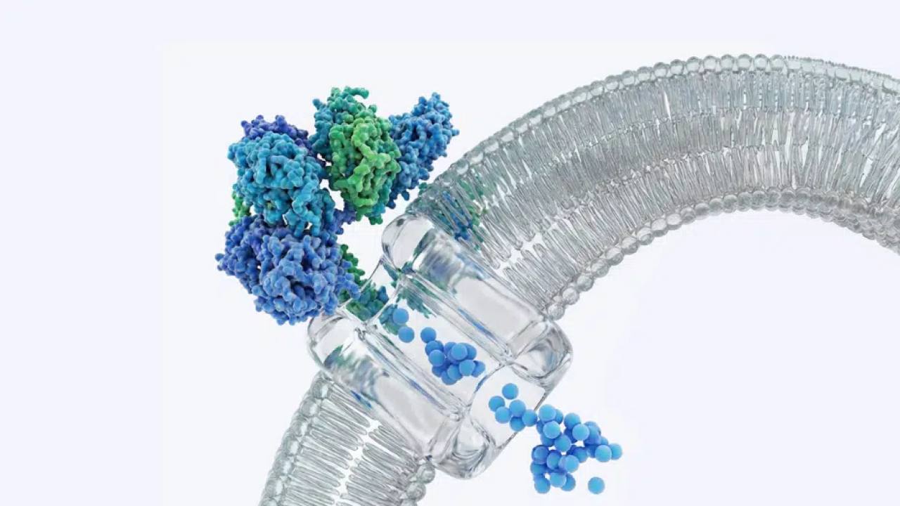 iDEL Therapeutics, Kanser Tedavisi İçin 9 Milyon Euro Yatırım Aldı