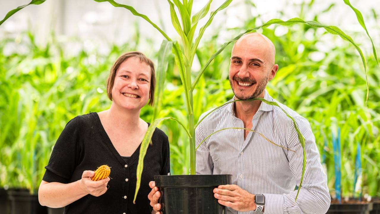 Rainbow Crops, Yapay Zeka Destekli Gen Düzenleme İçin 9,7 Milyon Euro Aldı