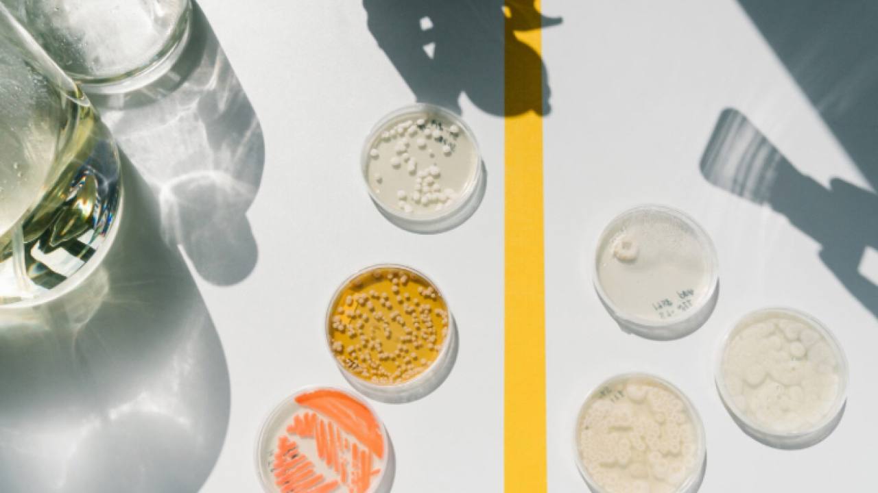 SMEY, AI Destekli Lipid Atlas Platformunu Tanıttı