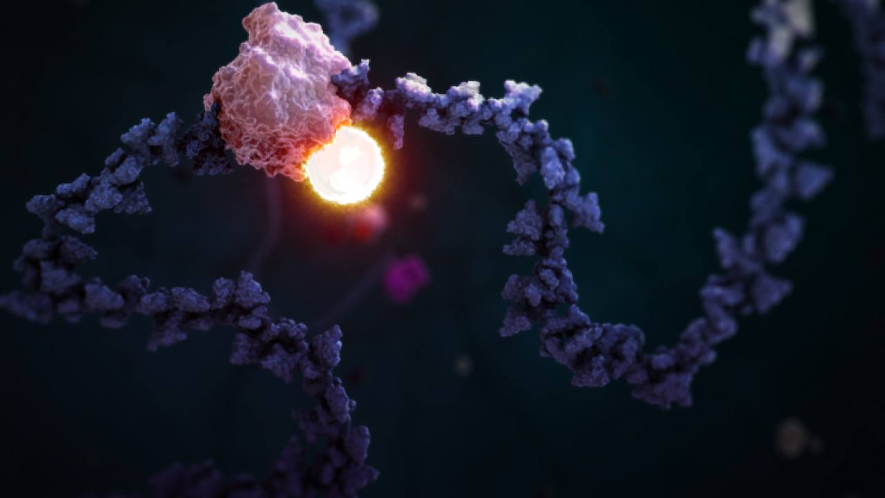 STORM Therapeutics, Kanser İlaçları İçin 56 Milyon Dolar Topladı