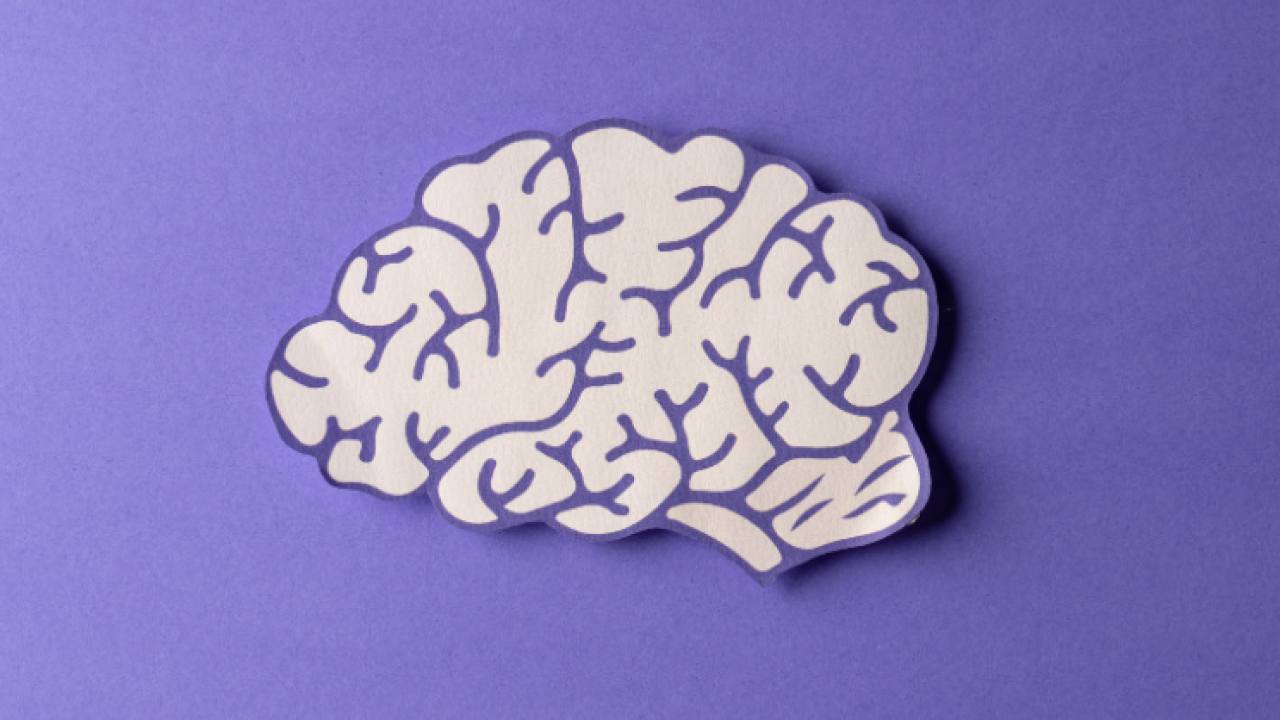 Tava Health, 40 Milyon Dolar Yatırım Alarak Sağlık Teknolojisine İvme Kazandırıyor