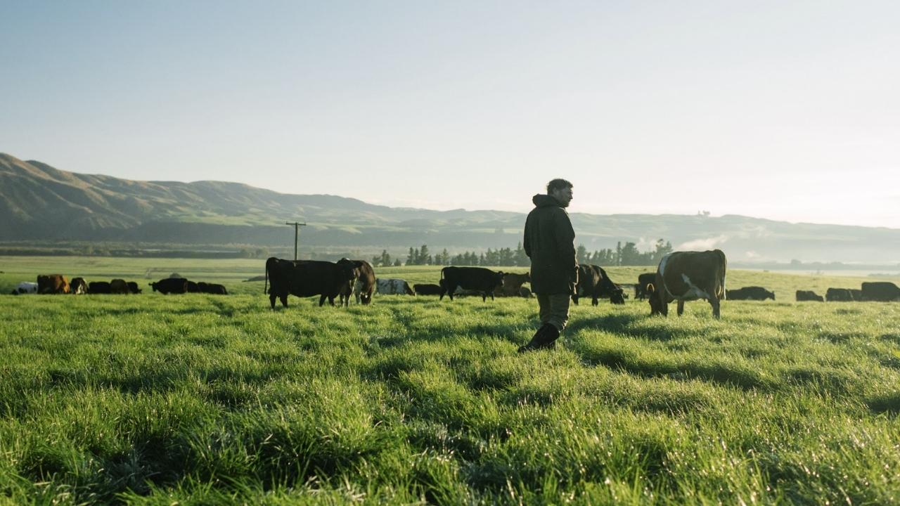 Yeni Zelanda'nın Halter Şirketi, Değeri 2 Milyar Doları Geçebilir